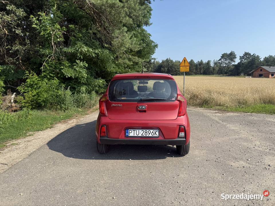 Kia picanto 10 benzyna 90 tysięcy przebiegu tempomat Turek