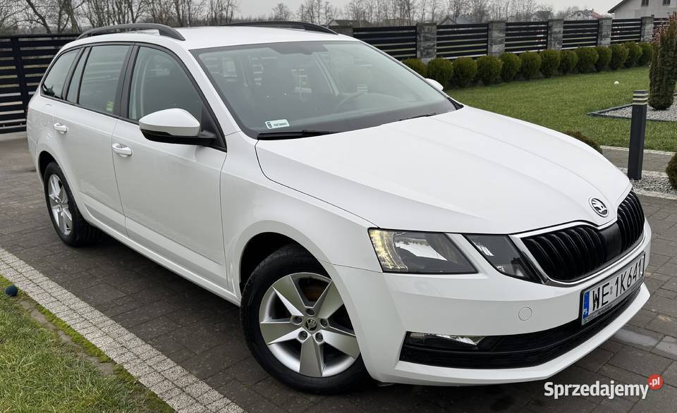 Salon Pierwszy wł 100 Bezwypadkowy F vat 23 Staroźreby