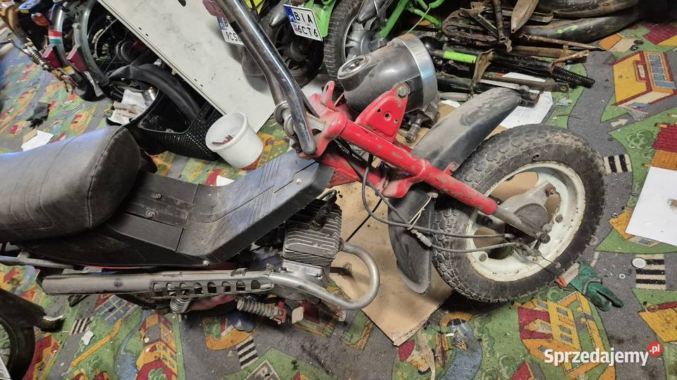 Motorynka stella zarejestrowana Hryniewicze