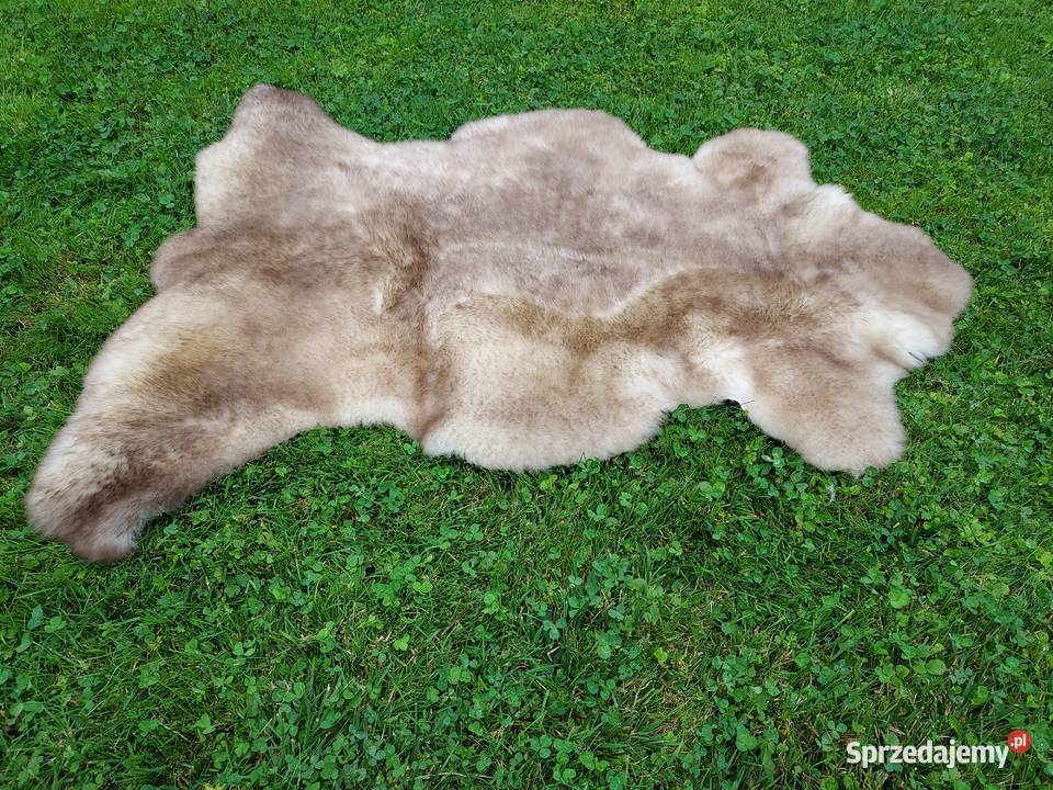 Skóra Owcza Naturalna MURDZIATA Czarnogłówka Szaflary