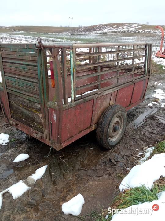 Dwukółka wózek dwukołówka przyczepa Kaczkowice