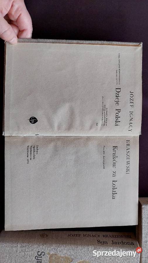 JI Kraszewski Pogrobek Stach z KonarKraków łódzkie