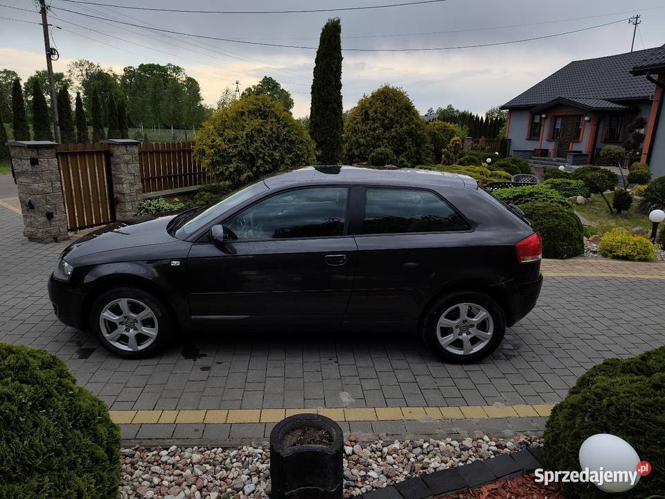 Audi a3 8p 16 mpi sprzedam