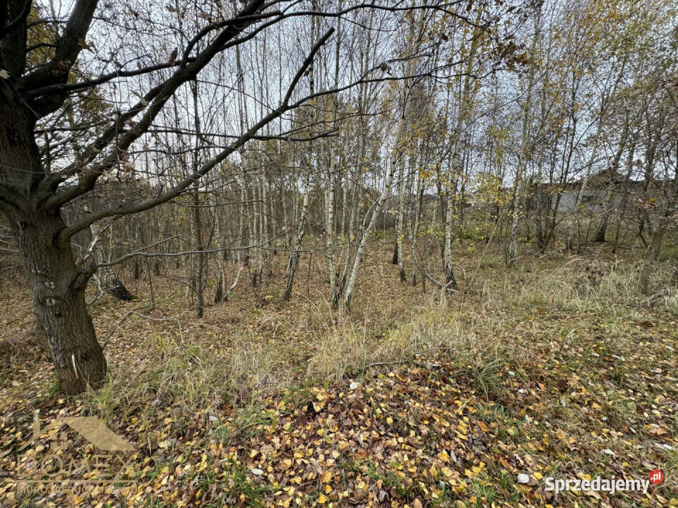 sprzedaży gruntu 1260m2 Mszana śląskie