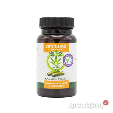 Jacob Hooy CBD 10mg Łódź