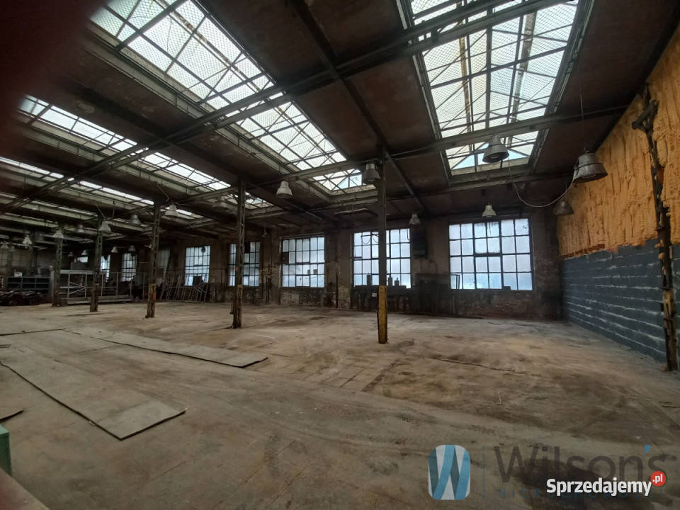 Do wynajęcia lokal 600m2 Wrocław