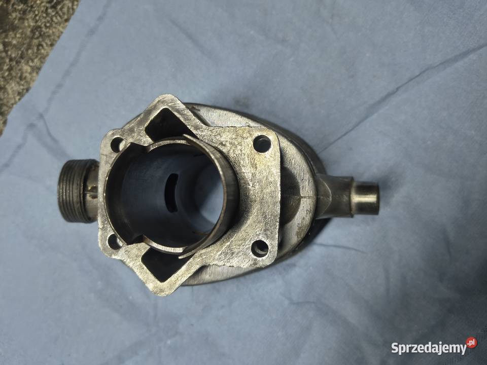 Cylinder komar sztywniak żak