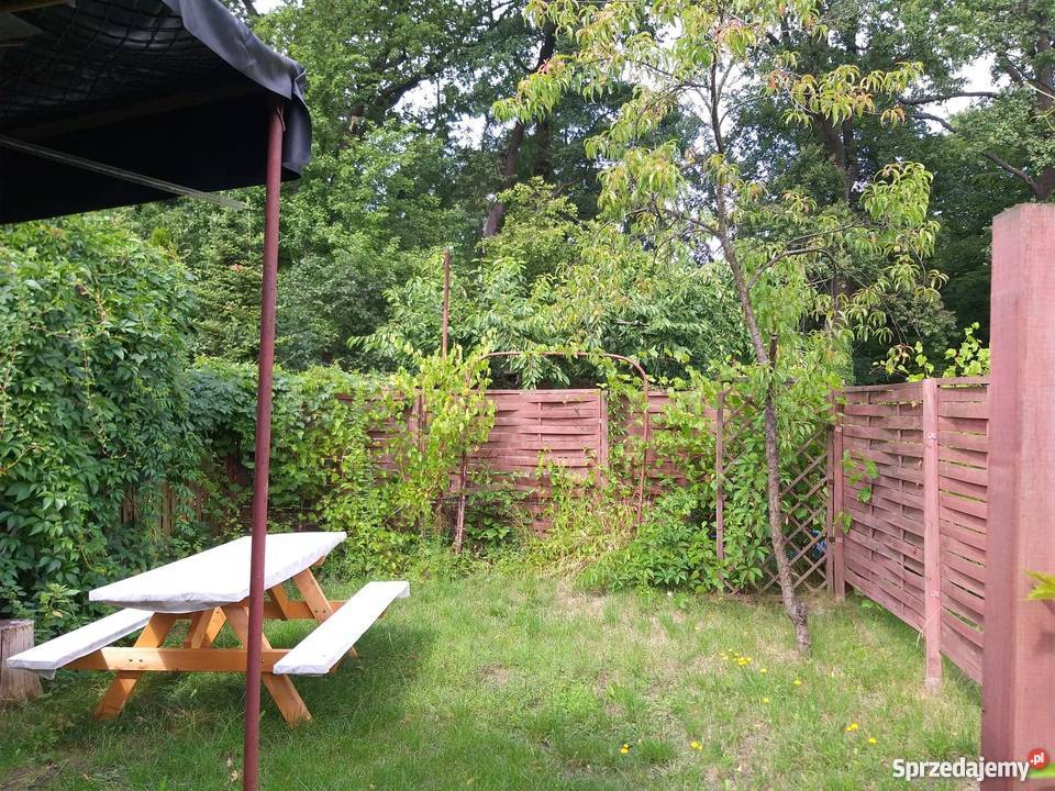 Działka rekreacyjnaa ROD LUMEL ZIELONA GÓRA Zielona Góra sprzedam