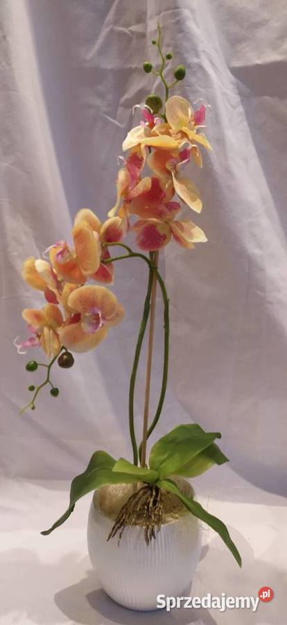 Storczyk sztuczny kompozycja kwiatowa wielokolorowy Sędziszów Małopolski sprzedam