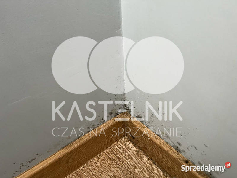 Odgrzybianie ścian Bartoszyce Kastelnik Usuwanie