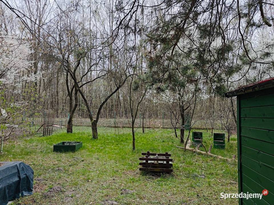 Ogródek działkowy Bemowa w Warszawie mazowieckie