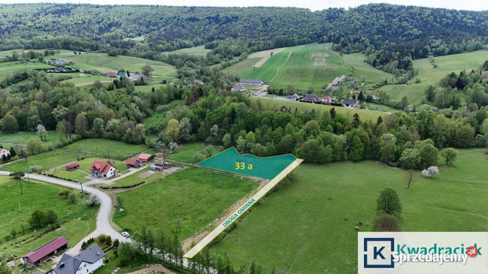 Działka Paszowa 3287 metrów Sprzedaż