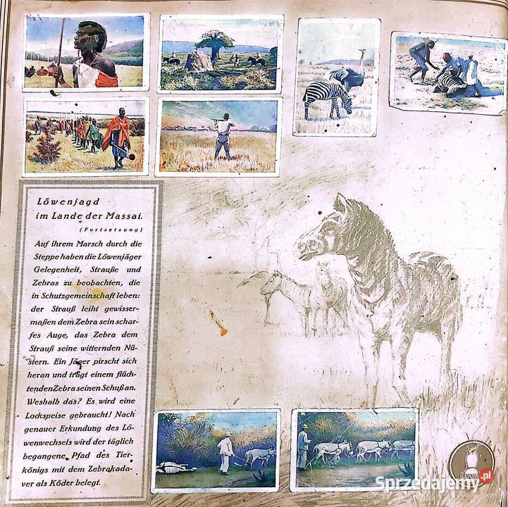 Allbum kolekcjonerski z 1929 r Mit Carl Konin