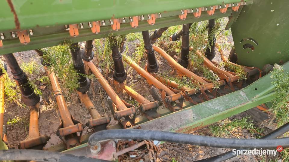 Amazone d8 spcial Dalików