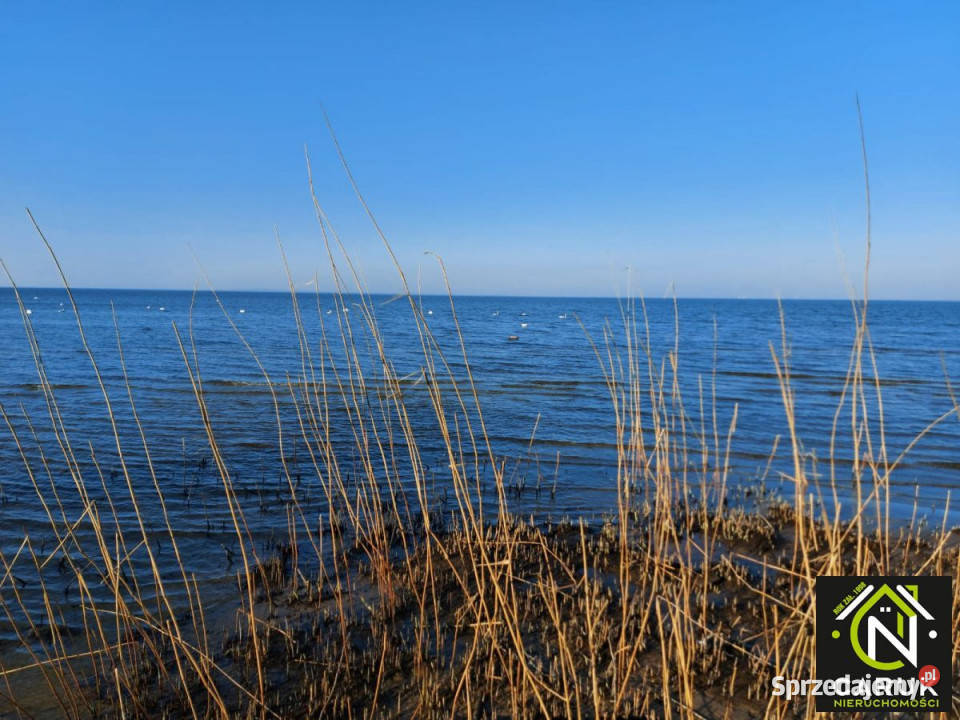 Ogłoszenie działka 5011m2 Brzózki sprzedam