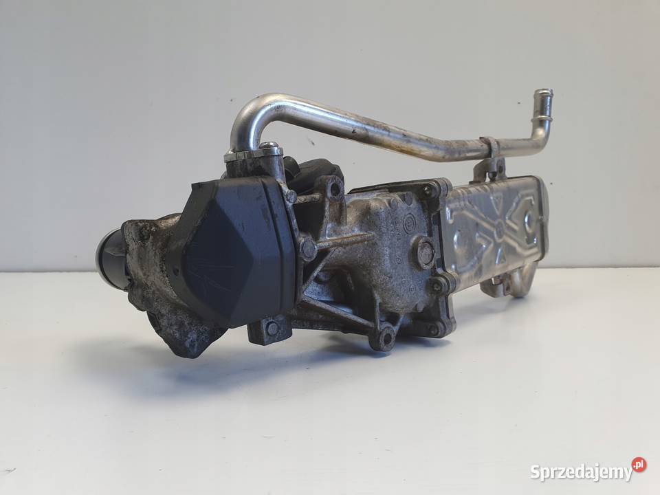 Seat Ibiza IV 16 TDI ZAWÓR EGR Chłodniczka osobowe Rudka