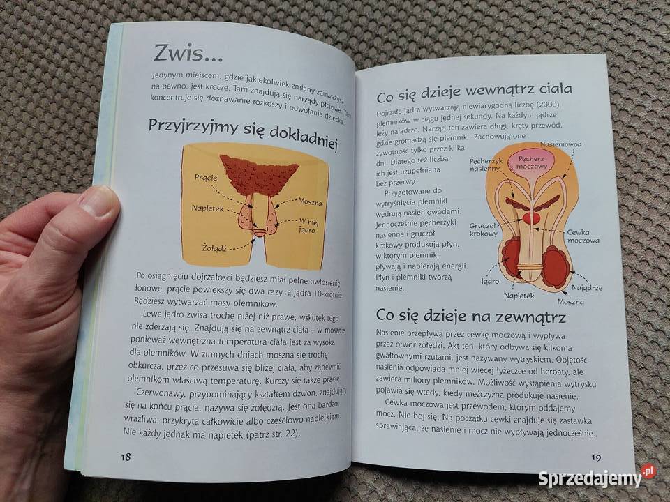 Dojrzewanie O czym chłopcy muszą wiedzieć Książki dla dzieci