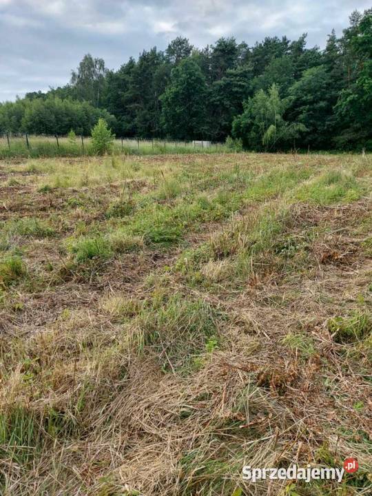 Sprzedam działkę budowlaną pod lasem 250zł/m2 świętokrzyskie Kielce sprzedam