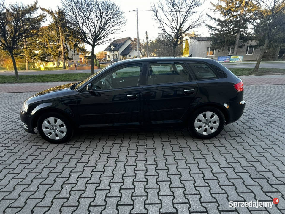 Audi A3 Audi A3 Lift 16Tdi 2012r Xenon Led mazowieckie Sokołów Podlaski