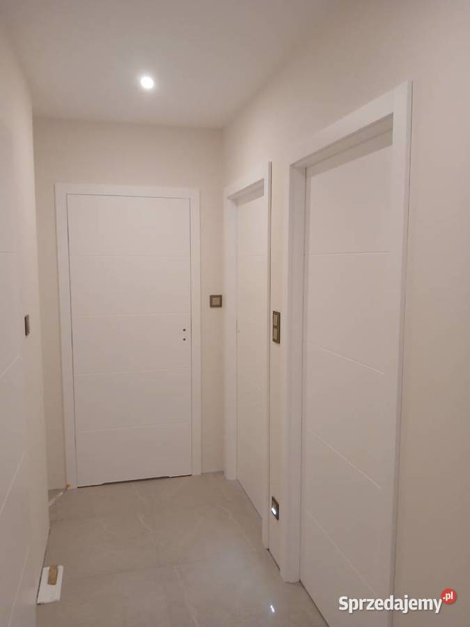 Drzwi drewniane wewnętrzne bezprzylgowe Ostrołęka