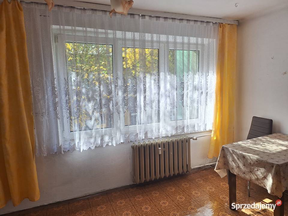 Kawalerka 276 m2 1 piętro Zawiercie Leśna Piętro 1