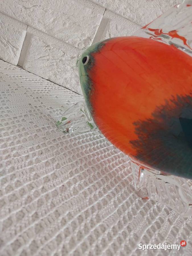 Szklana masywna ryba Zielona Góra