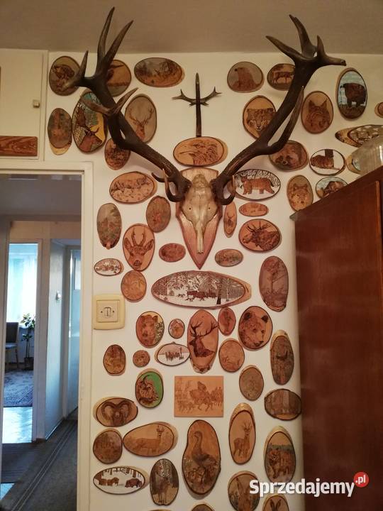 Obrazy fotel lampy z poroża jeleniainne art Poznań