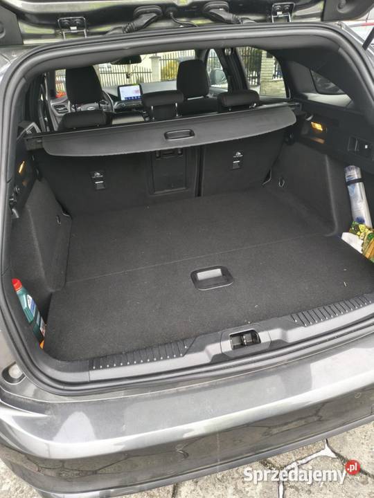 Ford focus stline 2019 Grybów