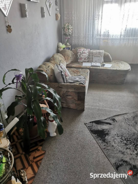 Syndyk sprzeda mieszkanie w Goszynie 1 piętro Pruszcz Gdański