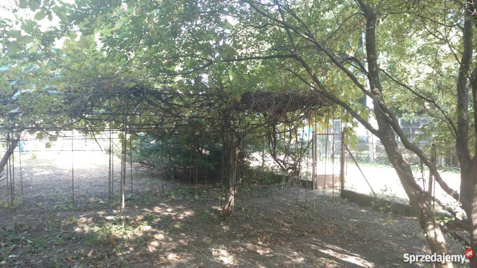 Działka ROD Warszawa Jedność 500 m2 na Grunty i działki mazowieckie