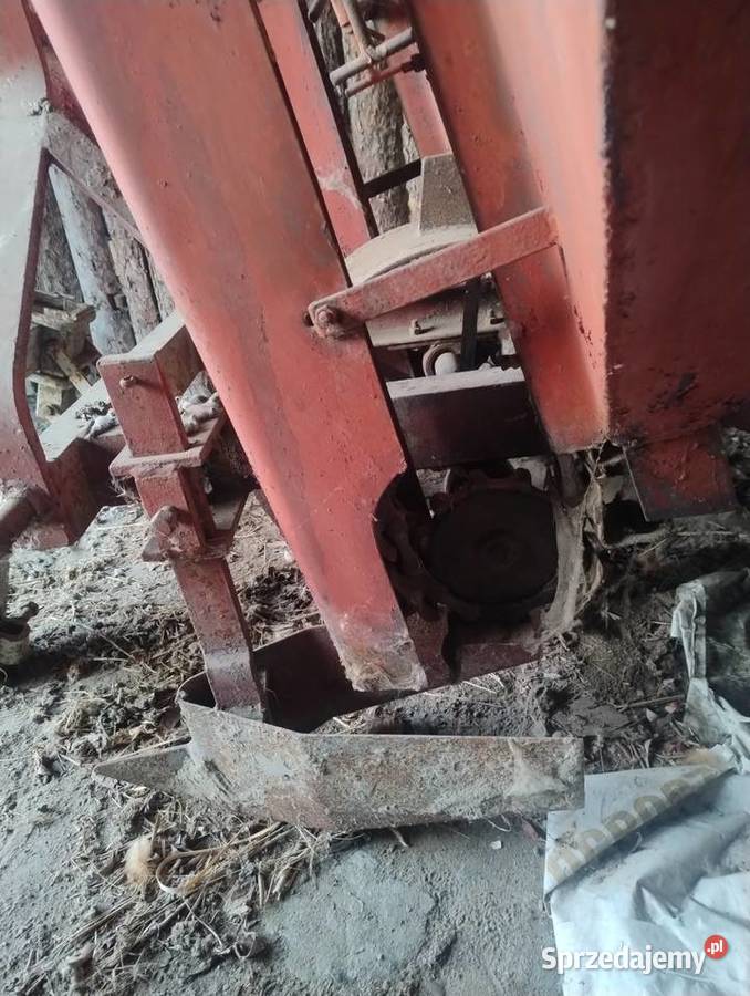 Sadzarka do ziemniaków Kampinos