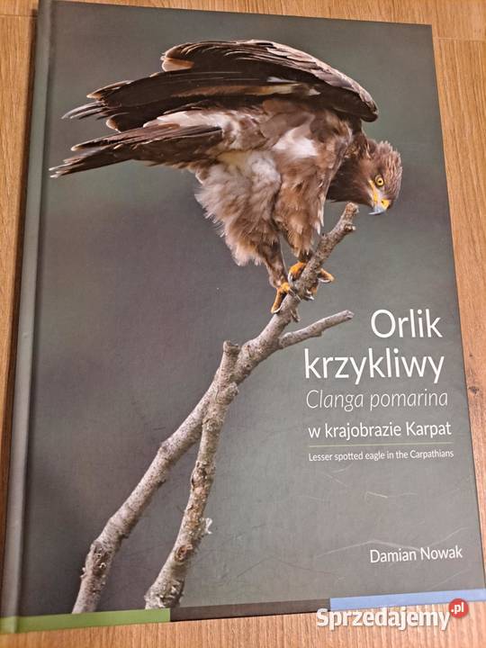 Orlik krzykliwy w krajobrazie Karpat 2016 sprzedam