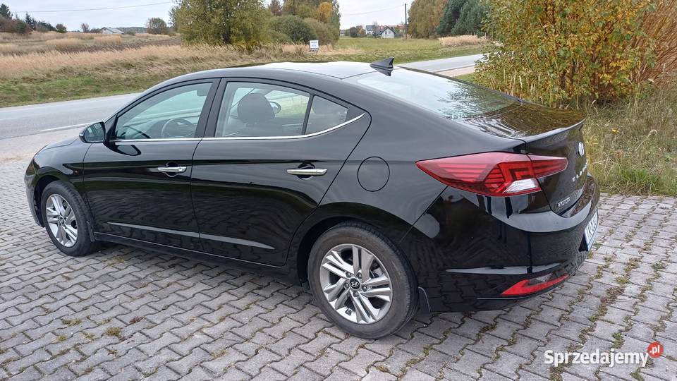 Elantra 16b salon Polska 31 Kielce