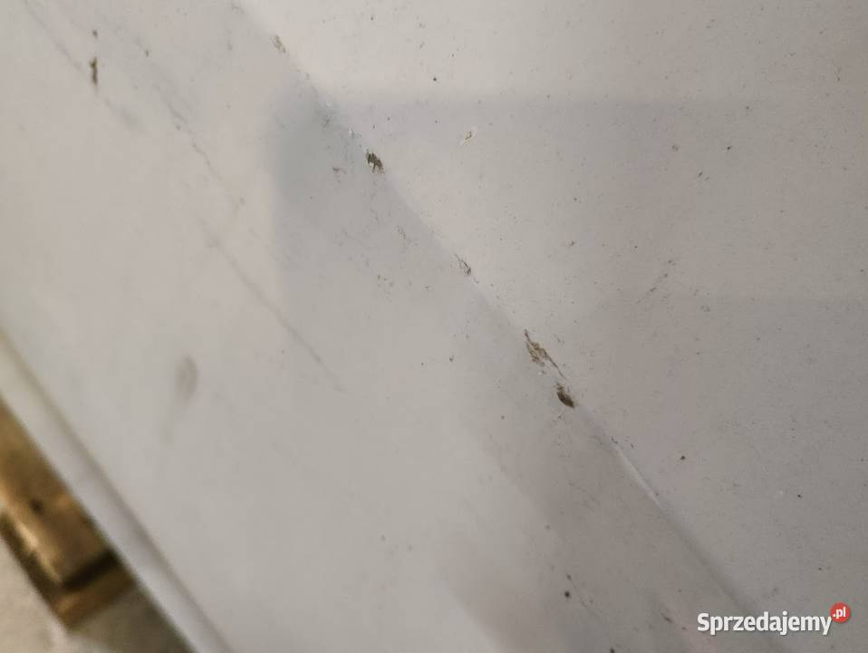 Drzwi Przednie Prawy Przód BMW 3 G20 sprzedam