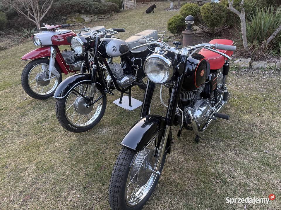 SHL m17 GAZELA Wąchock