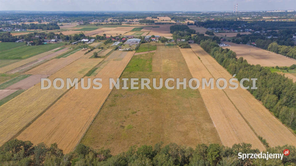 Działka Wiączyń Dolny 38714m2 38714m2 Nieruchomości
