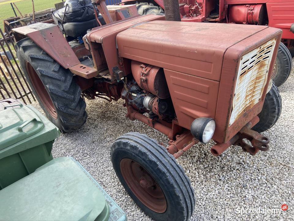 Sprzedam Wladymirec t25