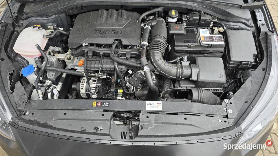 Kia Ceed 10 TGDI 100 OPF 2025r 52 500 PLN manualna Cee'd SW Nowy Świętów sprzedam