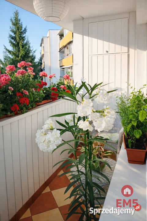 Mieszkanie Białystok 4829m2 2pokojowe