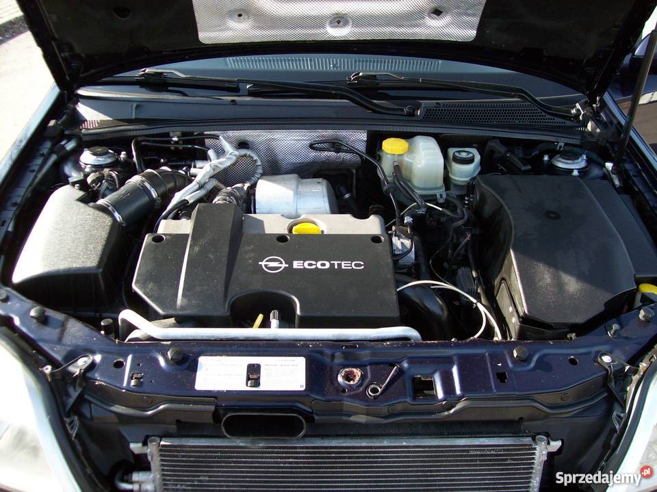 Opel Signum GTS Kroczyce