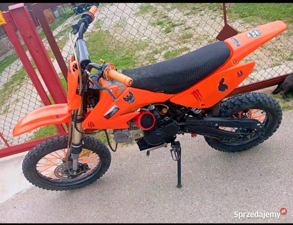 Cross diabolini pomarańczowy Woronie