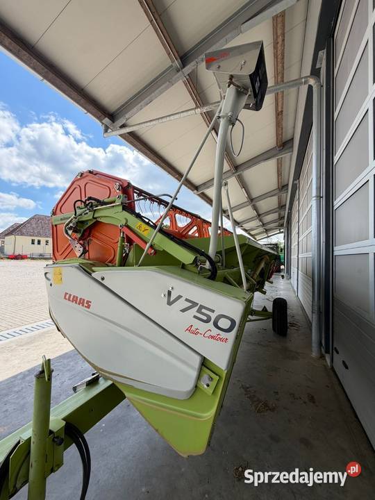 Claas Lexion 560 opolskie Izbicko