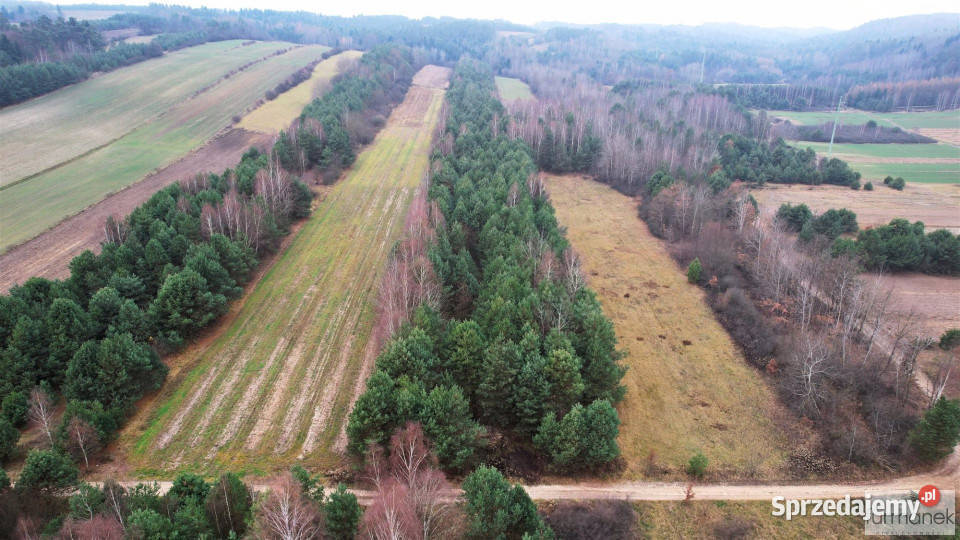sprzedaży działki 10564m2 Wywłoczka sprzedam