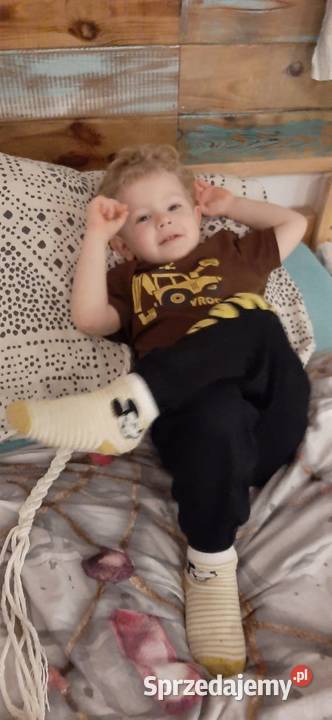 renowacja i serwis motocykli Kielnarowa