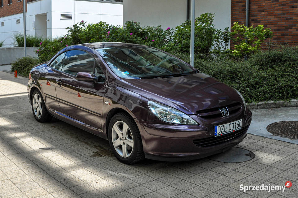 Peugeot 307 20 138 Bezwypadkowy dolnośląskie sprzedam