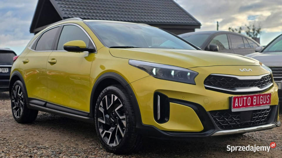 Kia XCeed zarejestrowana super stan Zarejestrowany w Polsce Kia