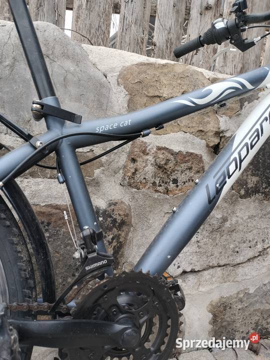 Leopard space cat biało siwy rower chłopięcy