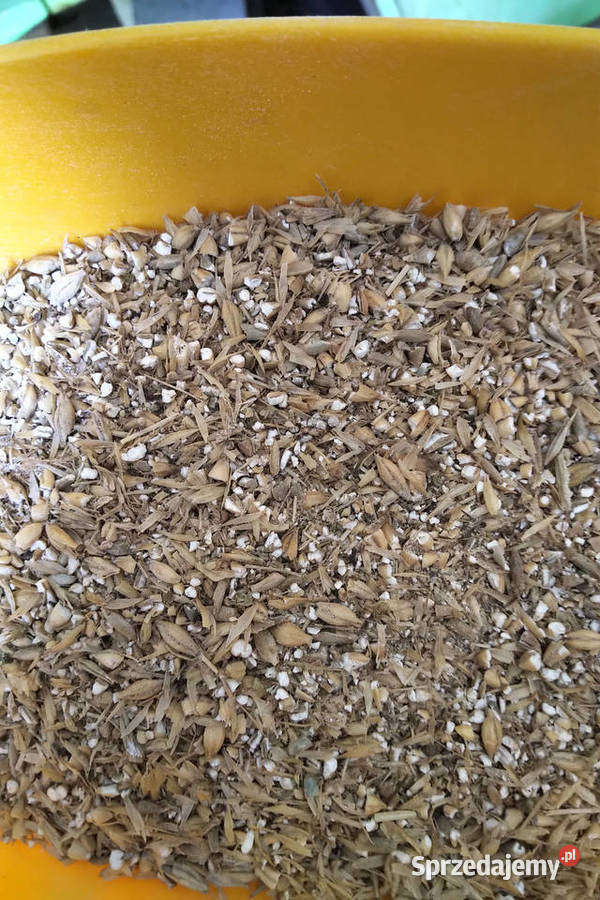 jęczmień śrutowany mielony łódzkie Sieradz