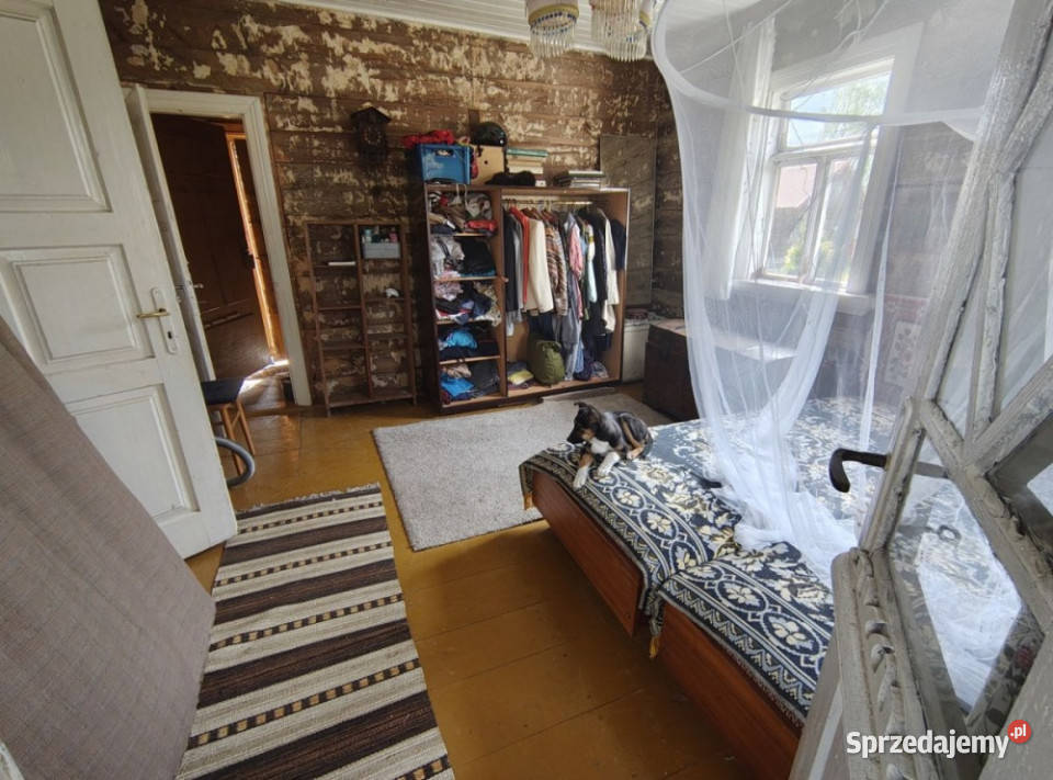 Perełka Podlasia m Czarna Cerkiewna Sprzedaż