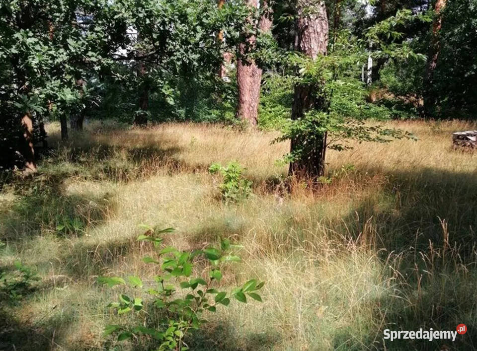 Syndyk Sprzeda Działka pod zabudowę LICYTACJA Józefów